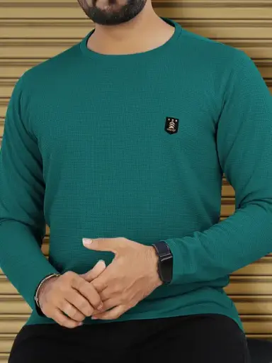 Men Solid Round Neck Polyester Green T-Shirt